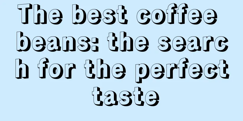 The best coffee beans: the search for the perfect taste