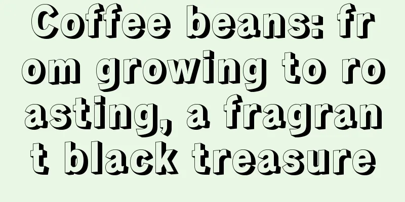 Coffee beans: from growing to roasting, a fragrant black treasure