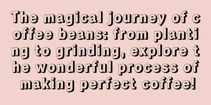 The magical journey of coffee beans: from planting to grinding, explore the wonderful process of making perfect coffee!