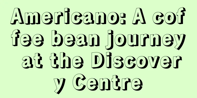 Americano: A coffee bean journey at the Discovery Centre