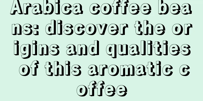 Arabica coffee beans: discover the origins and qualities of this aromatic coffee