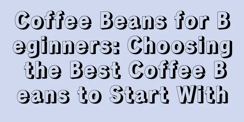 Coffee Beans for Beginners: Choosing the Best Coffee Beans to Start With