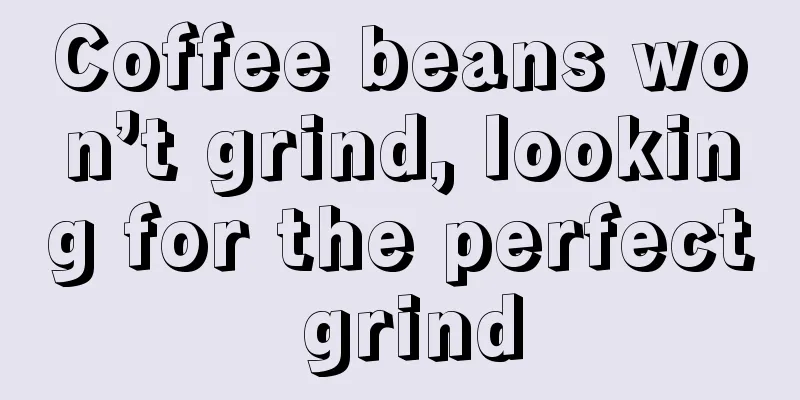 Coffee beans won’t grind, looking for the perfect grind