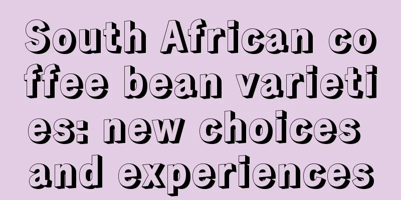 South African coffee bean varieties: new choices and experiences