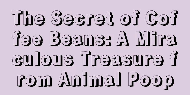 The Secret of Coffee Beans: A Miraculous Treasure from Animal Poop