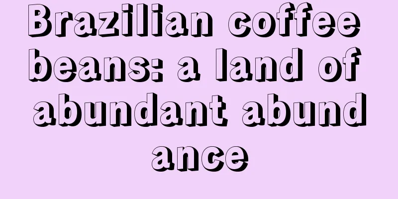 Brazilian coffee beans: a land of abundant abundance