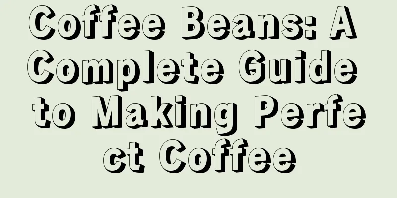 Coffee Beans: A Complete Guide to Making Perfect Coffee