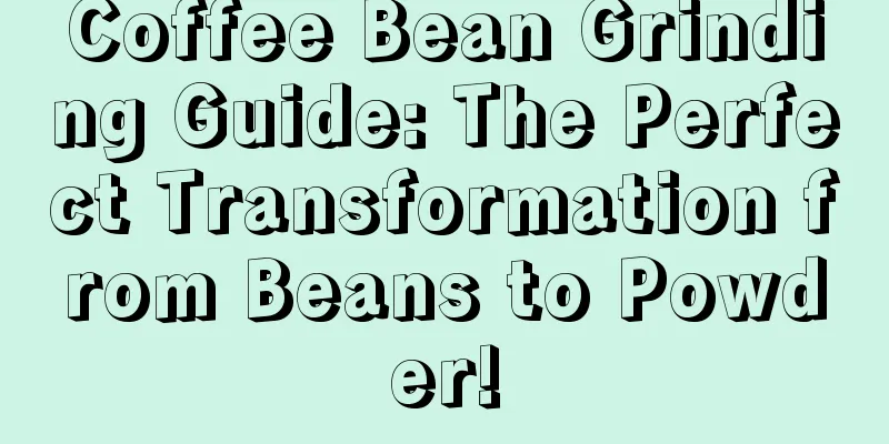 Coffee Bean Grinding Guide: The Perfect Transformation from Beans to Powder!