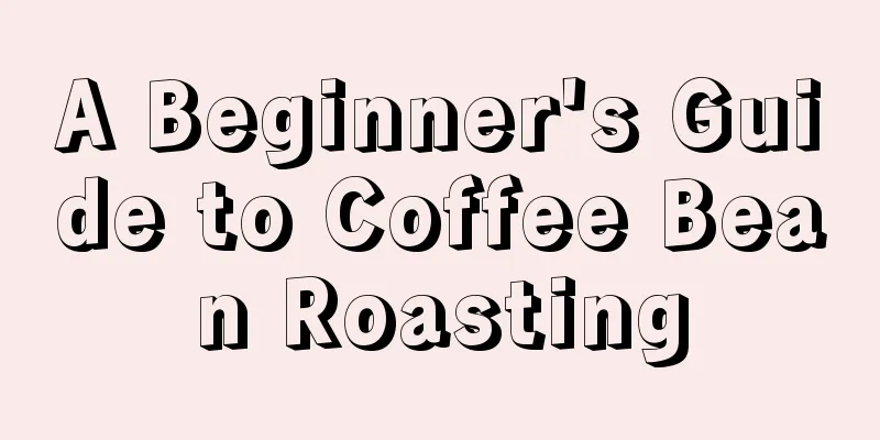 A Beginner's Guide to Coffee Bean Roasting