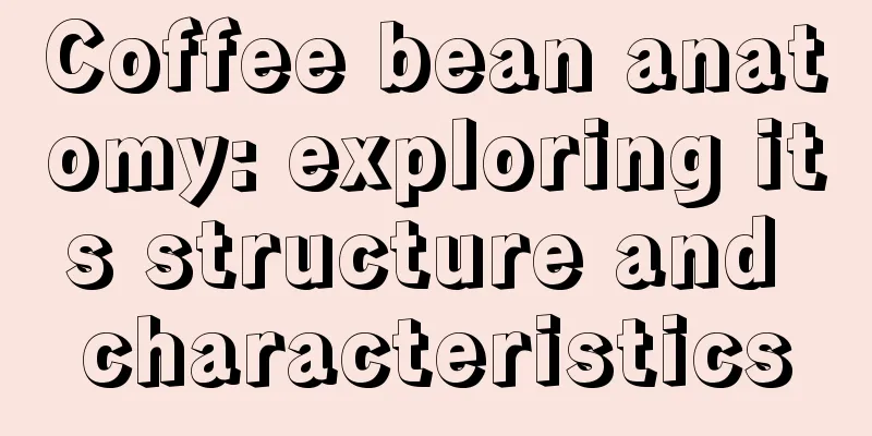 Coffee bean anatomy: exploring its structure and characteristics