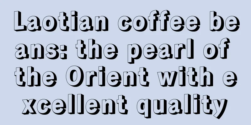 Laotian coffee beans: the pearl of the Orient with excellent quality