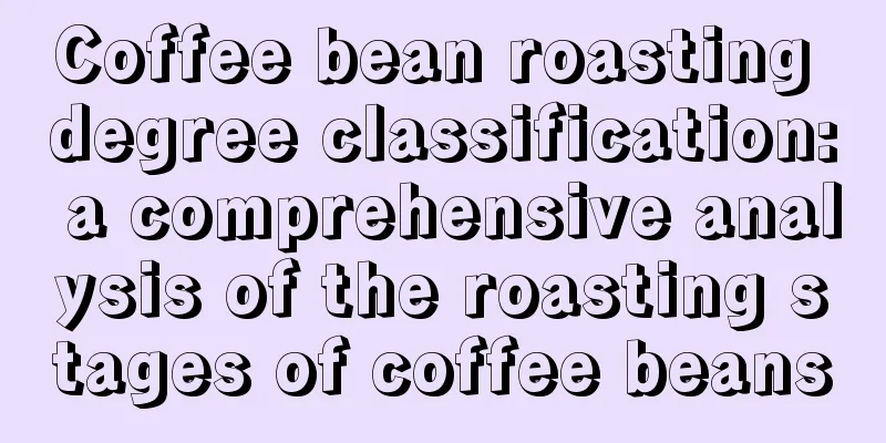 Coffee bean roasting degree classification: a comprehensive analysis of the roasting stages of coffee beans