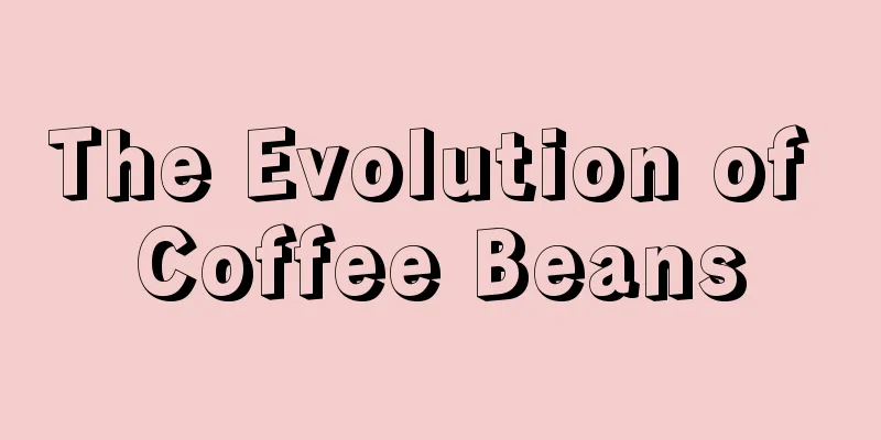 The Evolution of Coffee Beans