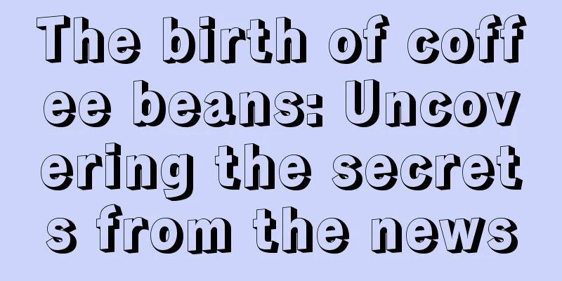 The birth of coffee beans: Uncovering the secrets from the news