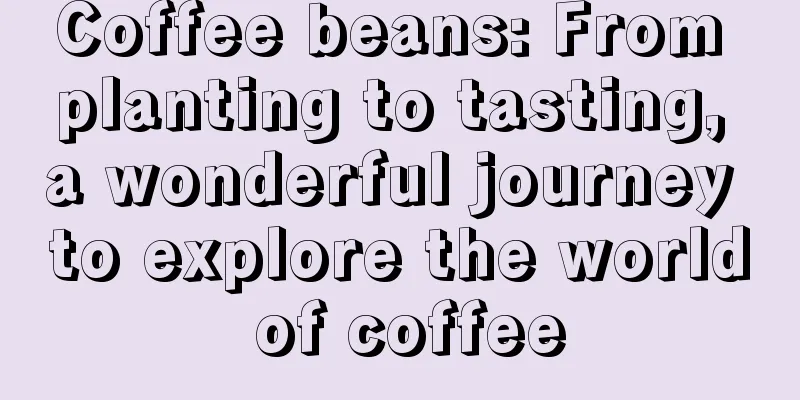 Coffee beans: From planting to tasting, a wonderful journey to explore the world of coffee