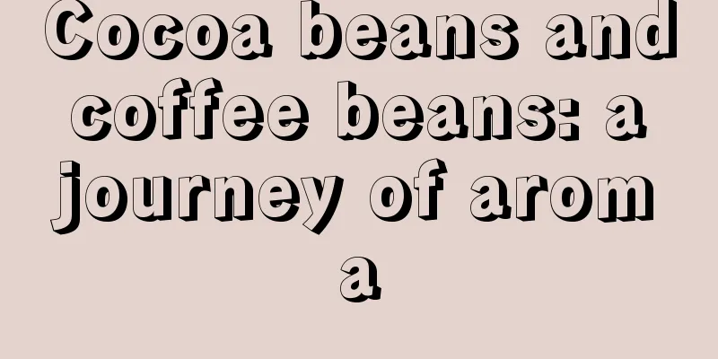 Cocoa beans and coffee beans: a journey of aroma