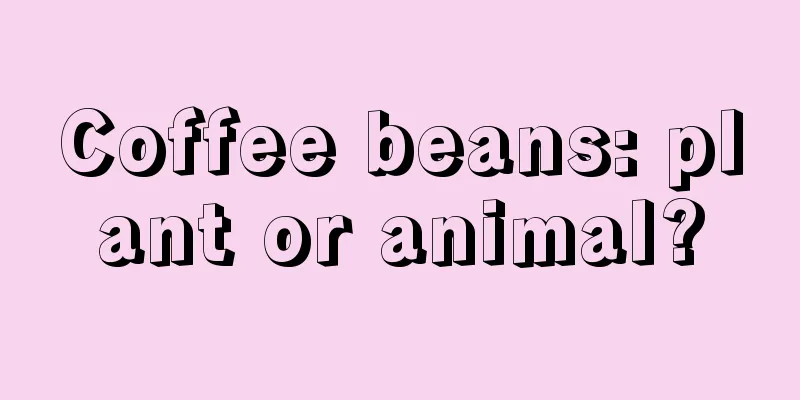 Coffee beans: plant or animal?