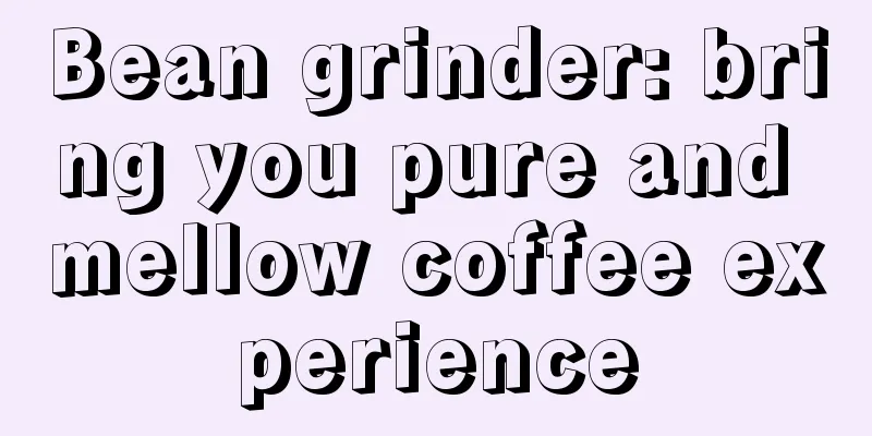 Bean grinder: bring you pure and mellow coffee experience