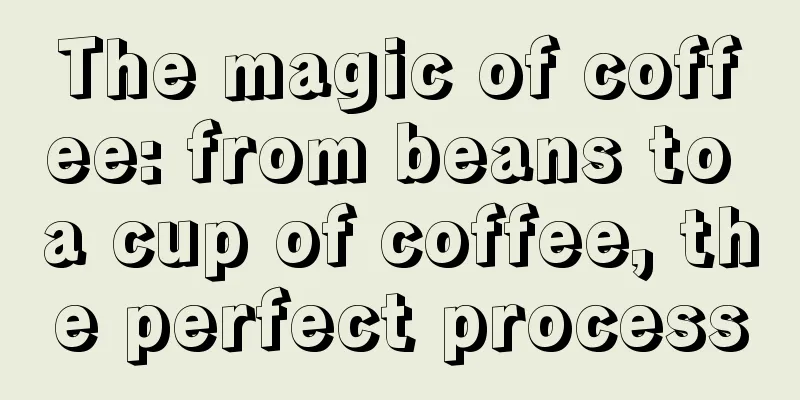 The magic of coffee: from beans to a cup of coffee, the perfect process