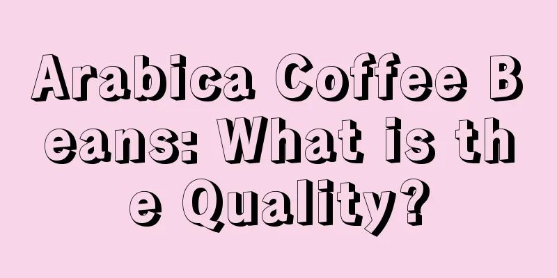 Arabica Coffee Beans: What is the Quality?