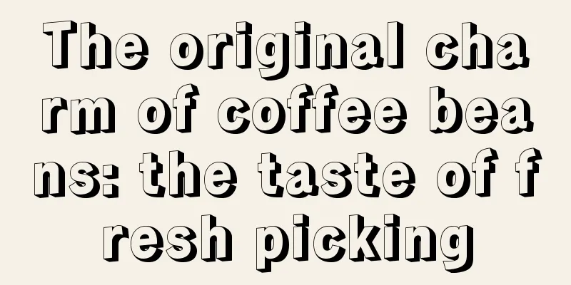 The original charm of coffee beans: the taste of fresh picking