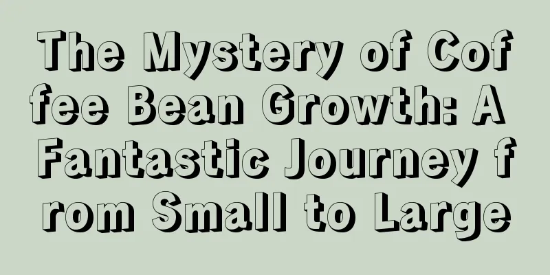 The Mystery of Coffee Bean Growth: A Fantastic Journey from Small to Large