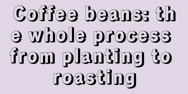 Coffee beans: the whole process from planting to roasting