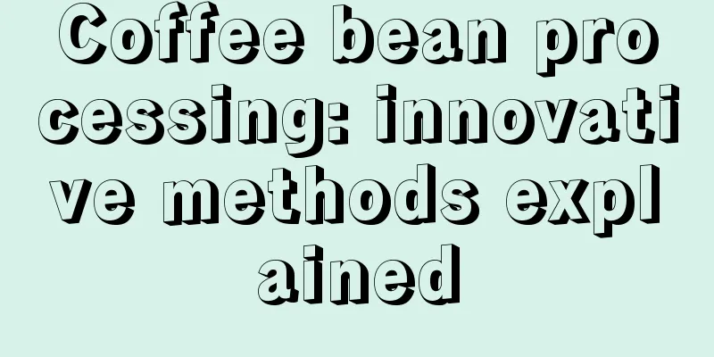 Coffee bean processing: innovative methods explained