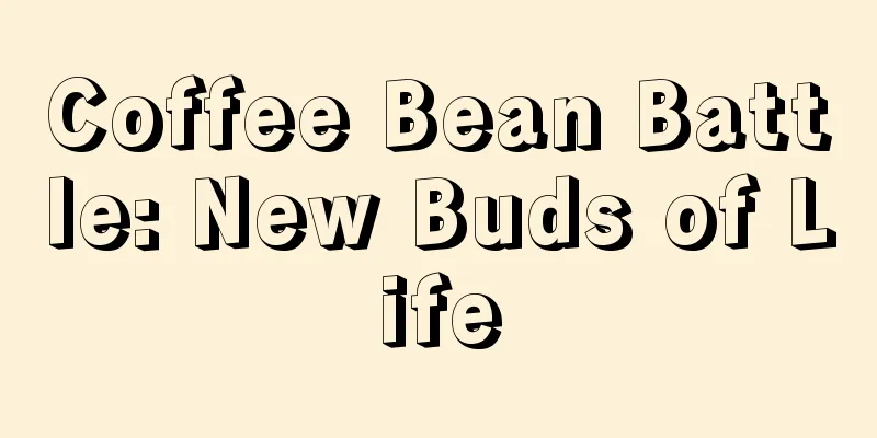 Coffee Bean Battle: New Buds of Life