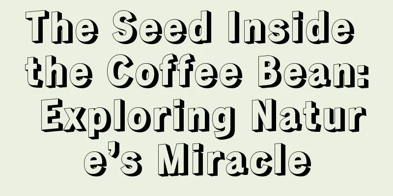 The Seed Inside the Coffee Bean: Exploring Nature’s Miracle