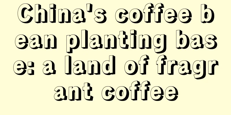 China's coffee bean planting base: a land of fragrant coffee