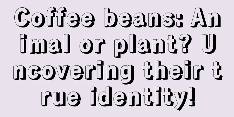 Coffee beans: Animal or plant? Uncovering their true identity!