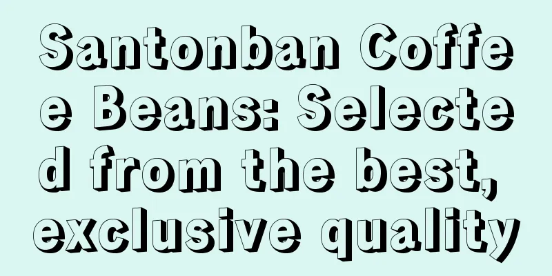 Santonban Coffee Beans: Selected from the best, exclusive quality