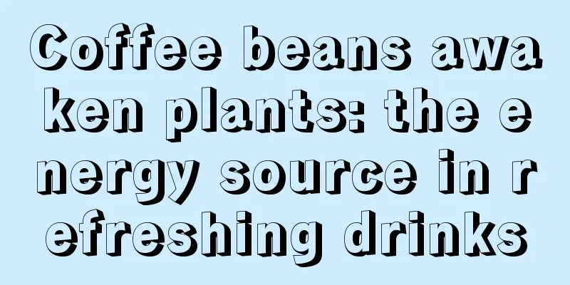 Coffee beans awaken plants: the energy source in refreshing drinks