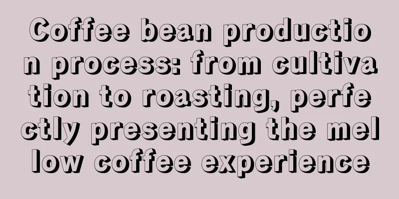 Coffee bean production process: from cultivation to roasting, perfectly presenting the mellow coffee experience