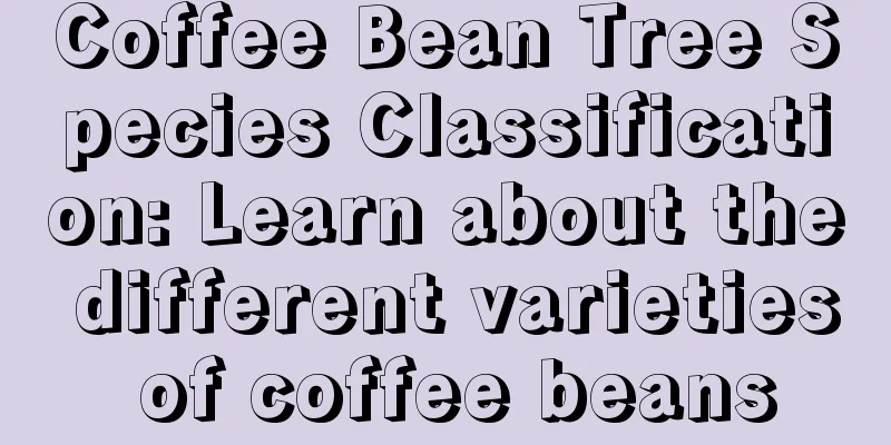 Coffee Bean Tree Species Classification: Learn about the different varieties of coffee beans