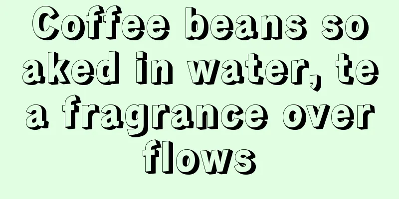 Coffee beans soaked in water, tea fragrance overflows