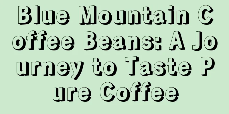 Blue Mountain Coffee Beans: A Journey to Taste Pure Coffee