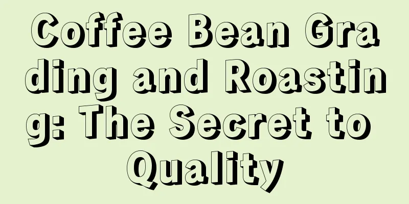 Coffee Bean Grading and Roasting: The Secret to Quality