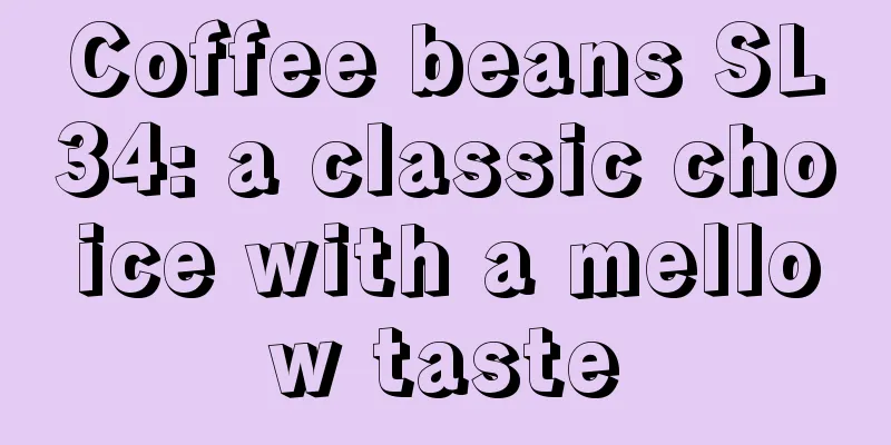 Coffee beans SL34: a classic choice with a mellow taste