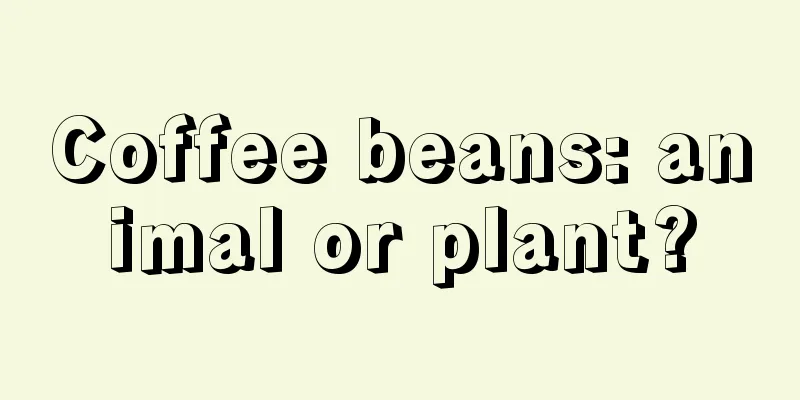 Coffee beans: animal or plant?