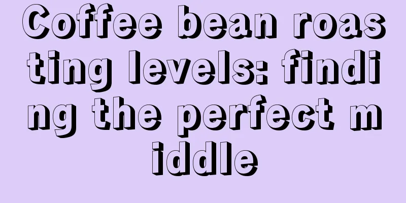 Coffee bean roasting levels: finding the perfect middle