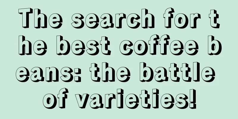 The search for the best coffee beans: the battle of varieties!