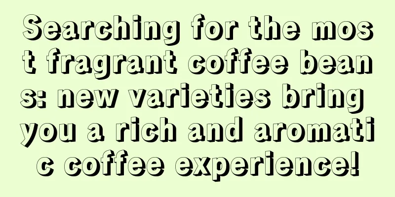 Searching for the most fragrant coffee beans: new varieties bring you a rich and aromatic coffee experience!