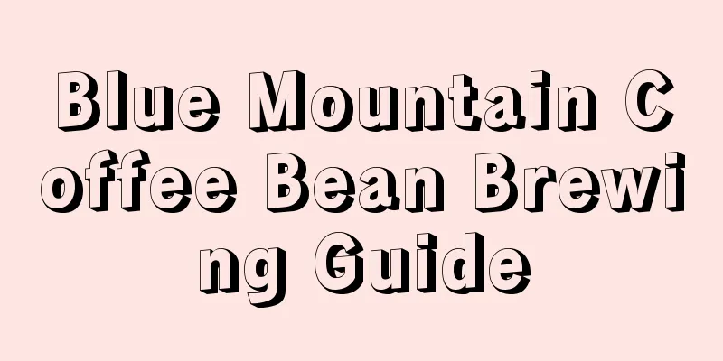 Blue Mountain Coffee Bean Brewing Guide