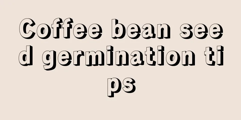 Coffee bean seed germination tips