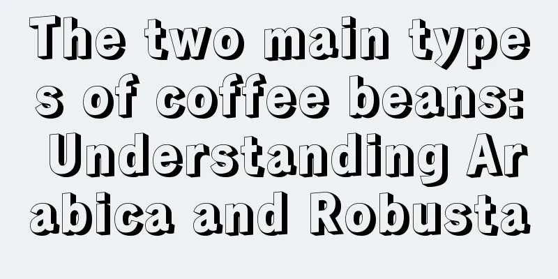 The two main types of coffee beans: Understanding Arabica and Robusta