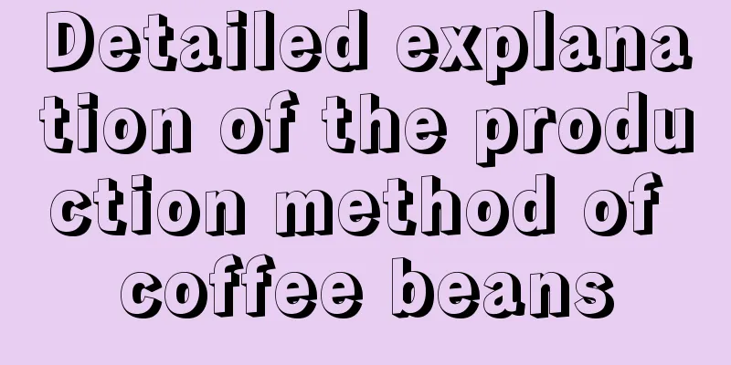 Detailed explanation of the production method of coffee beans