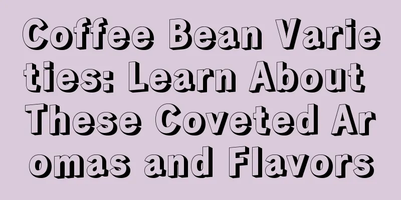 Coffee Bean Varieties: Learn About These Coveted Aromas and Flavors