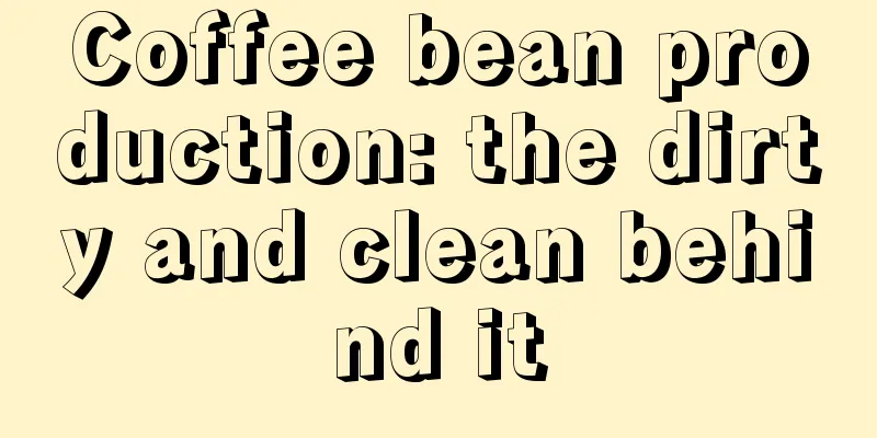 Coffee bean production: the dirty and clean behind it